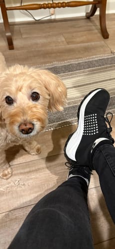 <h2>Customers love our shoes!</h2>